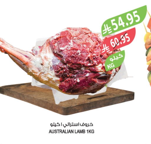 Mutton / Lamb available at Farm  in KSA, Saudi Arabia, Saudi - Al Khobar