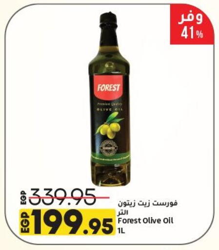 Olive Oil available at Lulu Hypermarket  in Egypt - Cairo