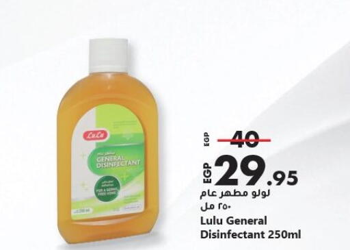 Disinfectant available at Lulu Hypermarket  in Egypt - Cairo