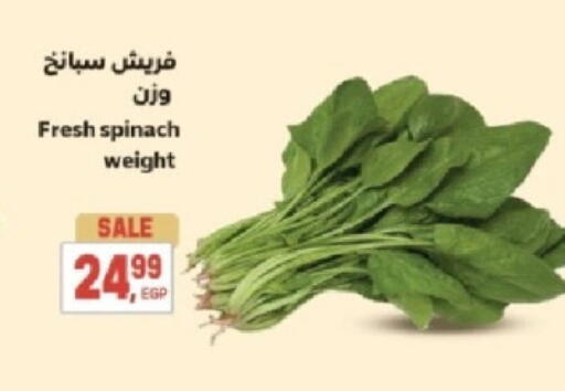 Spinach available at El.Husseini supermarket  in Egypt - Cairo