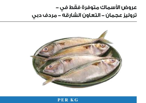 available at تروليز سوبرماركت in الإمارات العربية المتحدة , الامارات - دبي