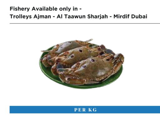 available at تروليز سوبرماركت in الإمارات العربية المتحدة , الامارات - دبي