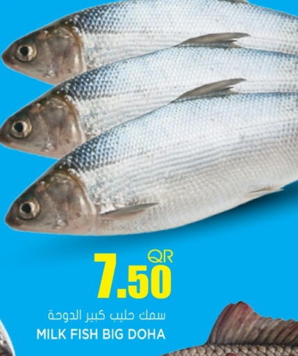 available at جراند هايبرماركت in قطر - الوكرة