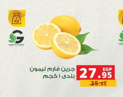 available at Panda  in Egypt - Cairo