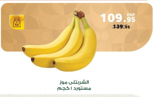 Banana available at Panda  in Egypt - Cairo
