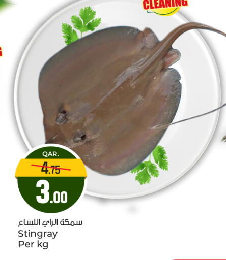 available at باريس هايبرماركت in قطر - الريان