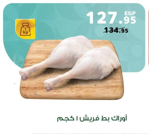 Meat - Fresh & Chilled in Panda , Egypt Offers - Egypt available at Panda in Egypt - Cairo
