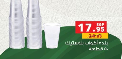 available at Panda  in Egypt - Cairo