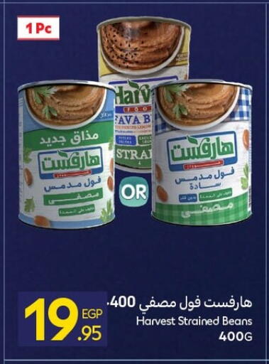 Fava Beans available at Carrefour  in Egypt - Cairo