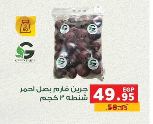 available at Panda  in Egypt - Cairo