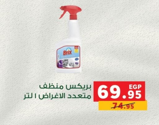General Cleaner available at Panda  in Egypt - Cairo