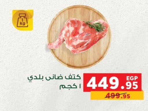 Meat - Fresh & Chilled in Panda , Egypt Offers - Egypt Mutton / Lamb available at Panda in Egypt - Cairo
