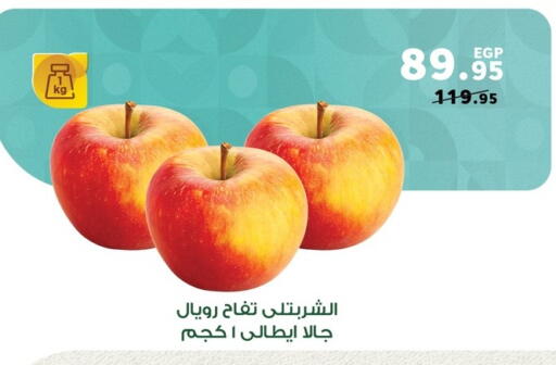 Apples available at Panda  in Egypt - Cairo