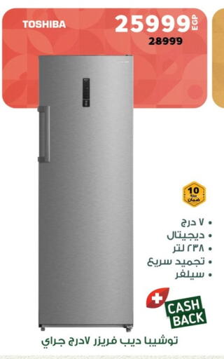 TOSHIBA Refrigerator available at Panda  in Egypt - Cairo