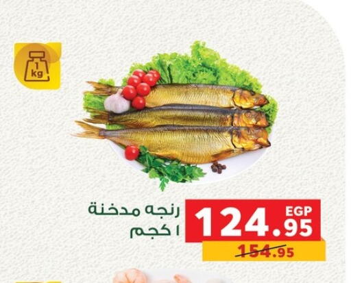 available at بنده in Egypt - القاهرة