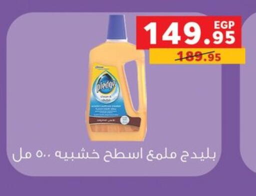 PLEDGE General Cleaner available at Panda  in Egypt - Cairo