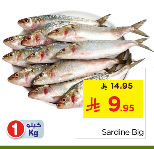 available at نستو in مملكة العربية السعودية, السعودية, سعودية - الخرج