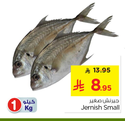 available at نستو in مملكة العربية السعودية, السعودية, سعودية - الخرج