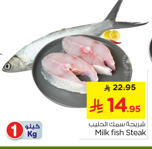 available at نستو in مملكة العربية السعودية, السعودية, سعودية - الخرج