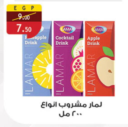 Apple available at Al Rayah Market   in Egypt - Cairo