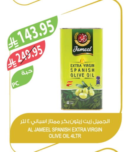 Virgin Olive Oil available at Farm  in KSA, Saudi Arabia, Saudi - Al-Kharj