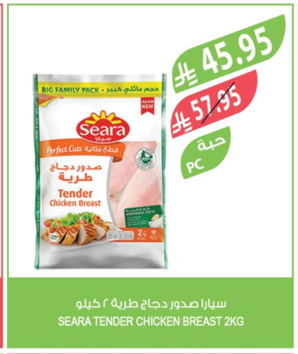 سيارا صدور دجاج available at المزرعة in مملكة العربية السعودية, السعودية, سعودية - تبوك