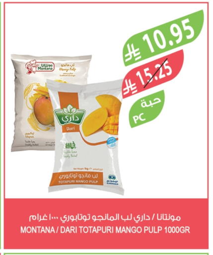 Mango available at Farm  in KSA, Saudi Arabia, Saudi - Al Khobar