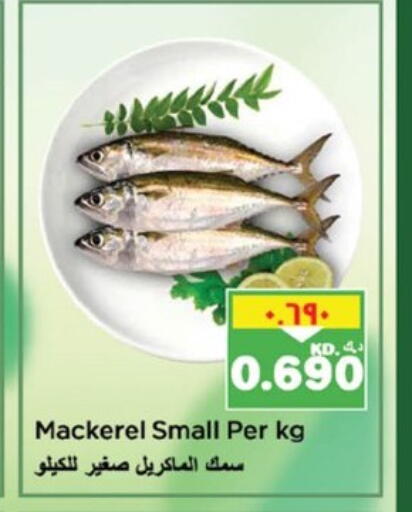 available at نستو هايبر ماركت in الكويت