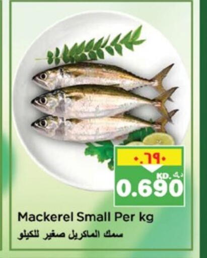 available at نستو هايبر ماركت in الكويت