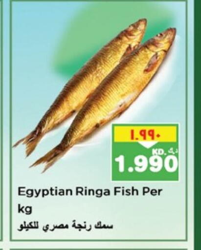 available at نستو هايبر ماركت in الكويت