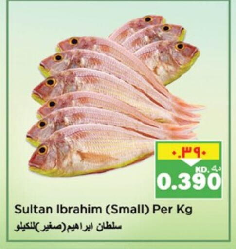 available at نستو هايبر ماركت in الكويت