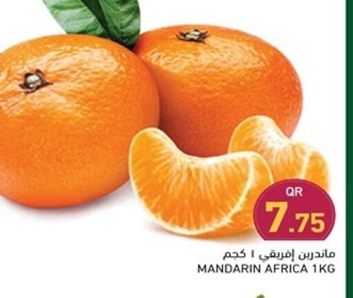 برتقال available at أسواق رامز in قطر - الخور