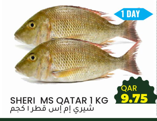 available at رامبو مارت in قطر - الشحانية