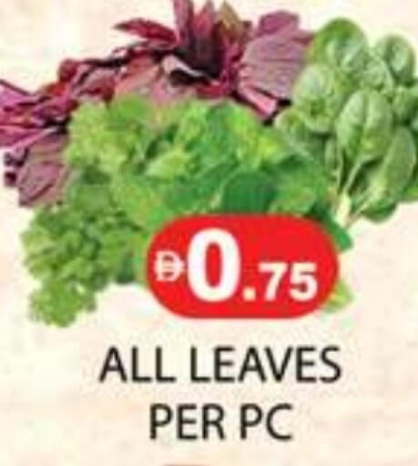 available at زين مارت سوبرماركت in الإمارات العربية المتحدة , الامارات - رَأْس ٱلْخَيْمَة