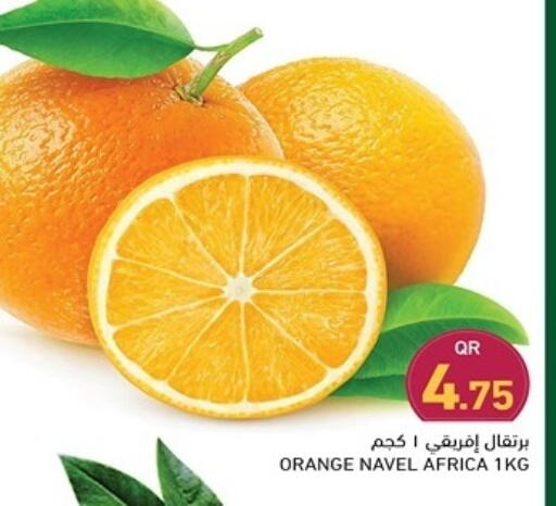برتقال available at أسواق رامز in قطر - الخور