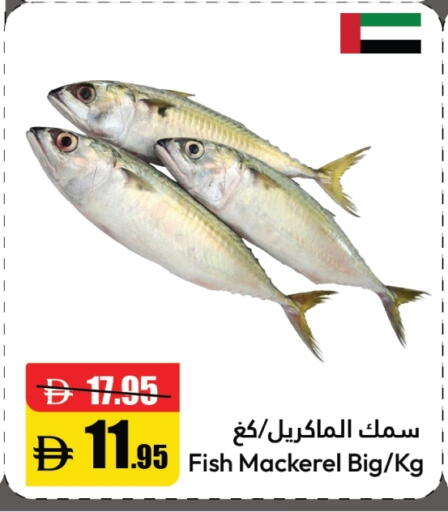 available at الأسواق هايبرماركت in الإمارات العربية المتحدة , الامارات - رَأْس ٱلْخَيْمَة