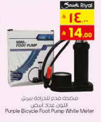 available at ستي فلاور in مملكة العربية السعودية, السعودية, سعودية - سكاكا