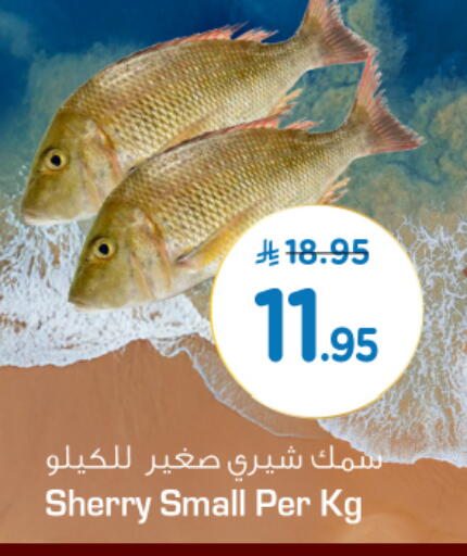 available at نستو in مملكة العربية السعودية, السعودية, سعودية - الخرج