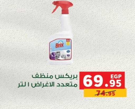 General Cleaner available at Panda  in Egypt - Cairo