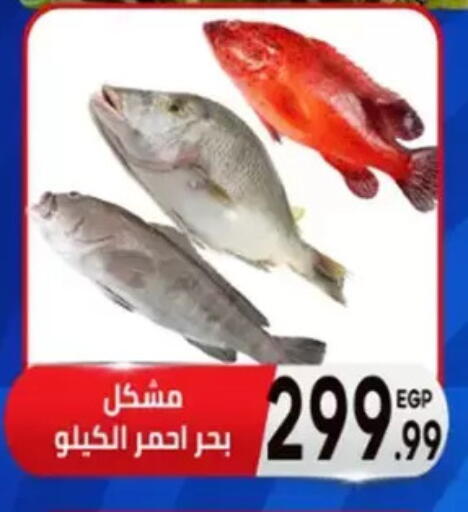available at أولاد المحاوى in Egypt - القاهرة