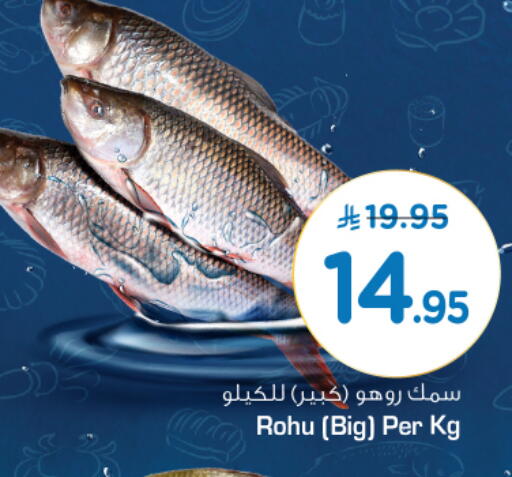 available at نستو in مملكة العربية السعودية, السعودية, سعودية - الخرج