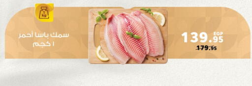 available at بنده in Egypt - القاهرة