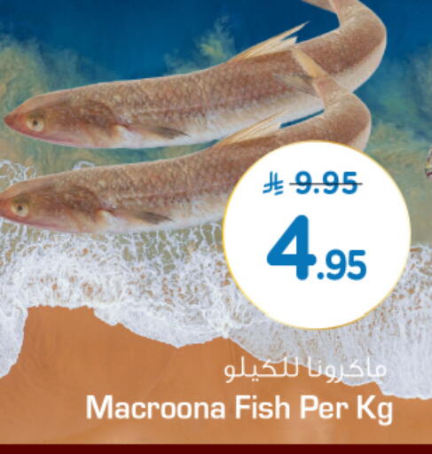 available at نستو in مملكة العربية السعودية, السعودية, سعودية - الخرج