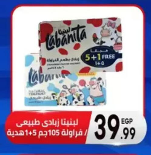 زبادي available at أولاد المحاوى in Egypt - القاهرة