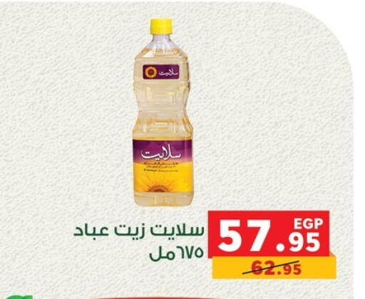 available at Panda  in Egypt - Cairo