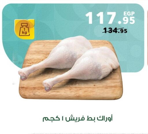 available at بنده in Egypt - القاهرة