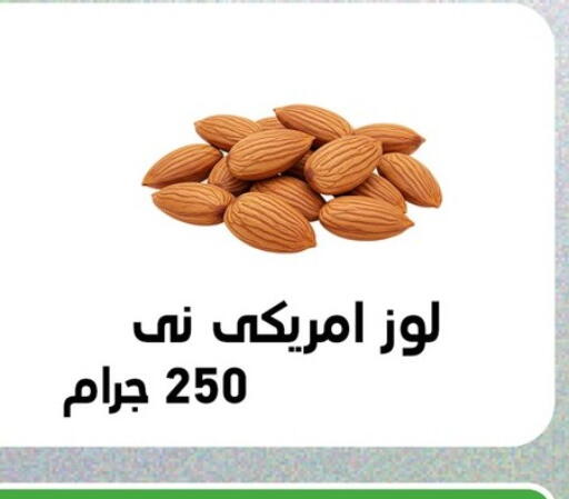 available at Panda  in Egypt - Cairo