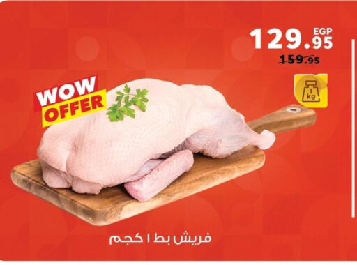 available at بنده in Egypt - القاهرة