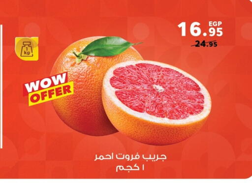 available at Panda  in Egypt - Cairo