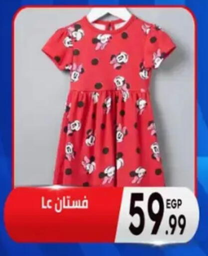 available at أولاد المحاوى in Egypt - القاهرة